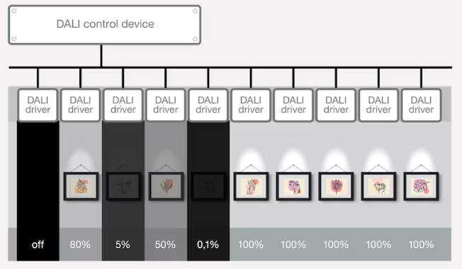 Dali control