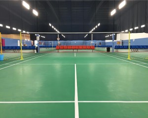 LED sports light project badminton court lighting