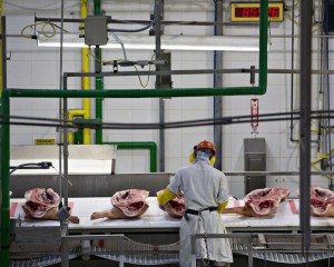 Meat Processing Plant