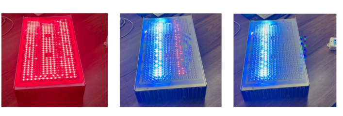 multiple channels branch control LED grow light
